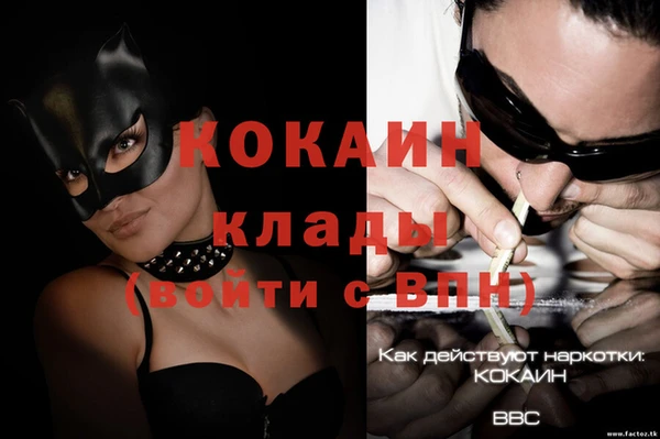 прущие грибы Беломорск