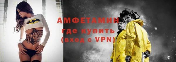 прущие грибы Беломорск