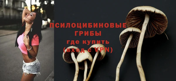 прущий лед Богданович