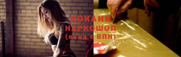 прущие грибы Беломорск