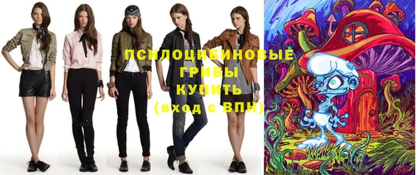 прущий лед Богданович