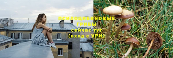альфа пвп VHQ Белокуриха