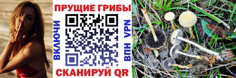 Псилоцибиновые грибы Magic Shrooms  Верхняя Пышма 