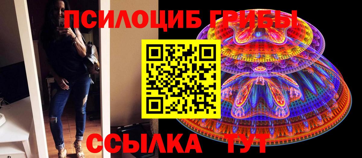 Верхняя Пышма  Псилоцибиновые грибы ЛСД  цены   Вход с VPN 